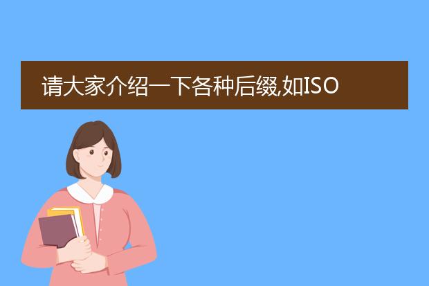 请大家介绍一下各种后缀,如iso