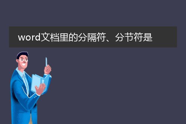 word文档里的分隔符、分节符是什么意思呀?