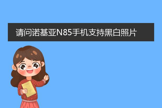 请问诺基亚n85手机支持黑白照片拍摄吗?用过的进。 -...