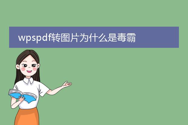 wpspdf转图片为什么是毒霸