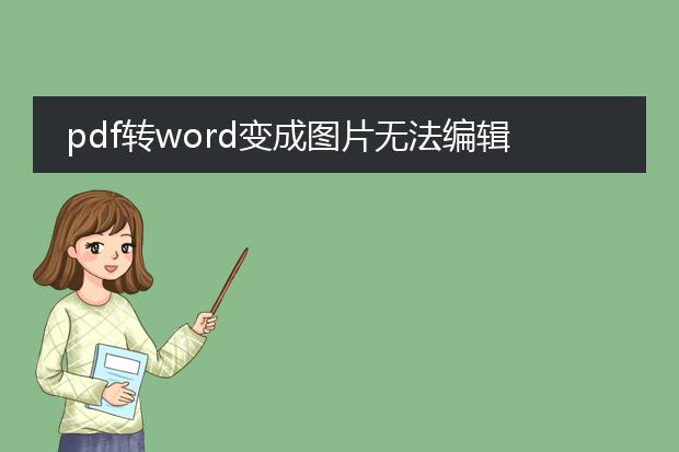 pdf转word变成图片无法编辑版本