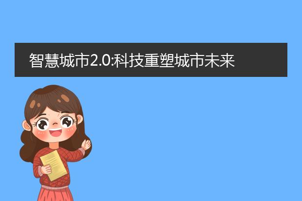 智慧城市2.0:科技重塑城市未来 pdf_智慧城市2.0:科技改变城市未来走向