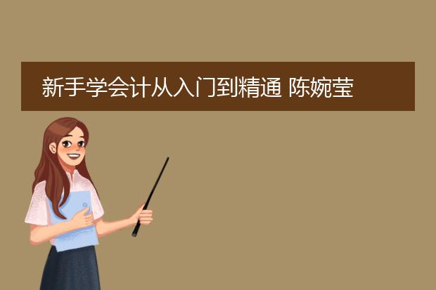 新手学会计从入门到精通 陈婉莹