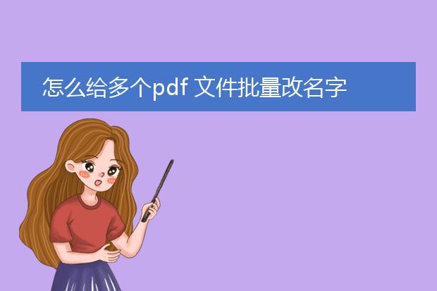 怎么给多个pdf 文件批量改名字格式