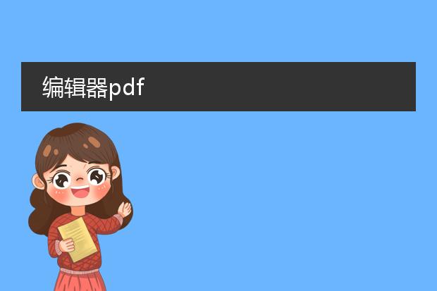 编辑器pdf