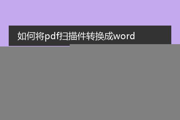 如何将pdf扫描件转换成word