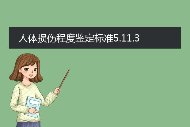 人体损伤程度鉴定标准5.11.3b