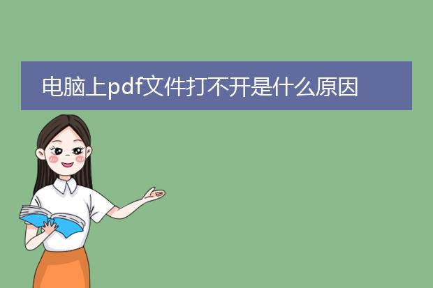 电脑上pdf文件打不开是什么原因_电脑pdf文件无法打开的原因解析